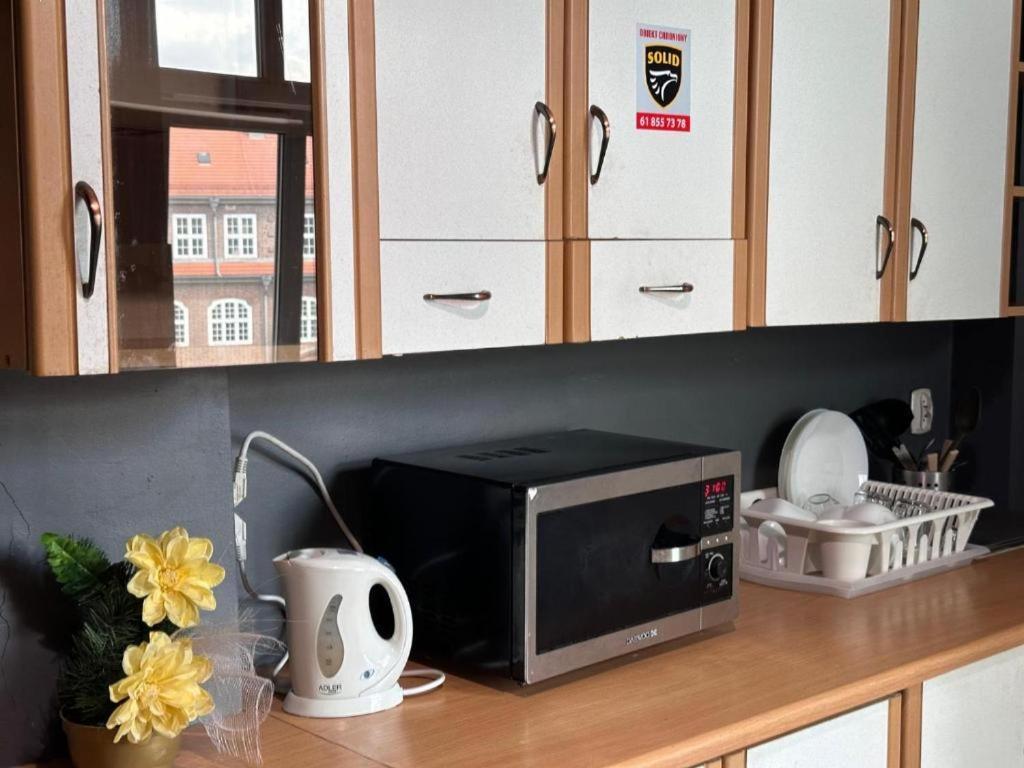 Ionia Apartment-Stary Rynek Poznan Dış mekan fotoğraf